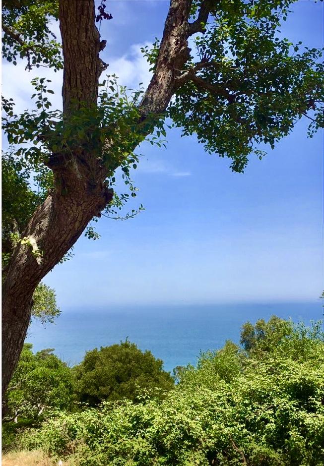 tanger parc 1